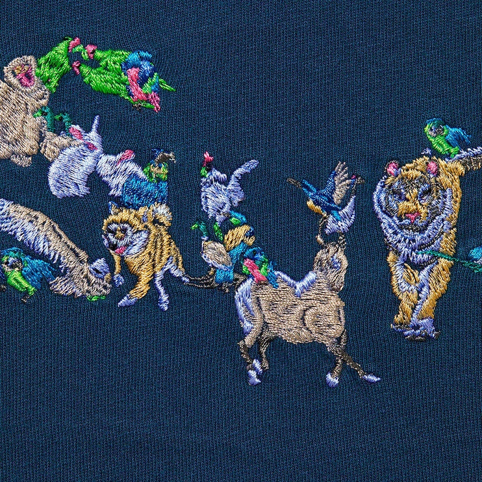 Animal Kingdom S/S Top view 2